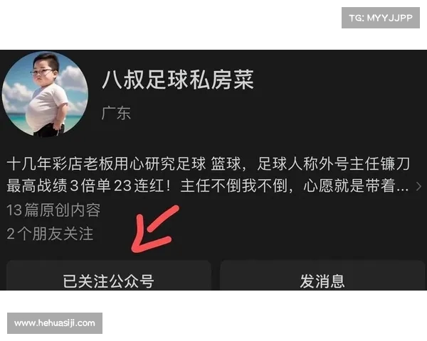 赛事预测专家平台精准分析胜负助力用户赢取大奖智慧预测每一场赛事